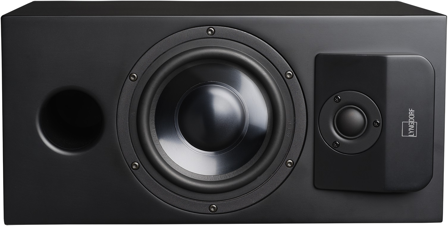Lyngdorf CS-1 Compact Full-Range In-Cabinet Loudspeaker (Matte Black), product image from Hifiheaven